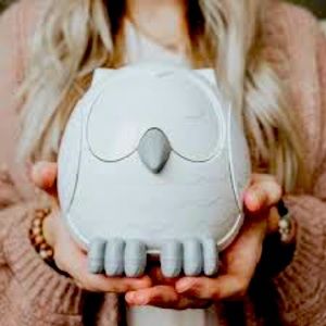 Snowy The Owl Diffuser